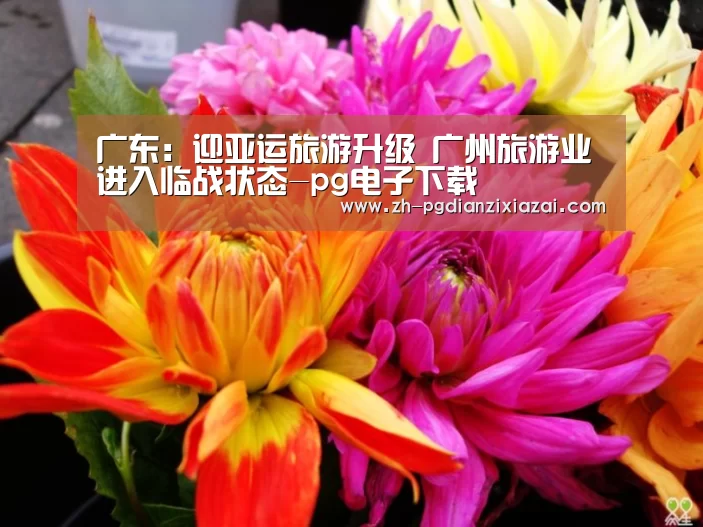 pg电子下载