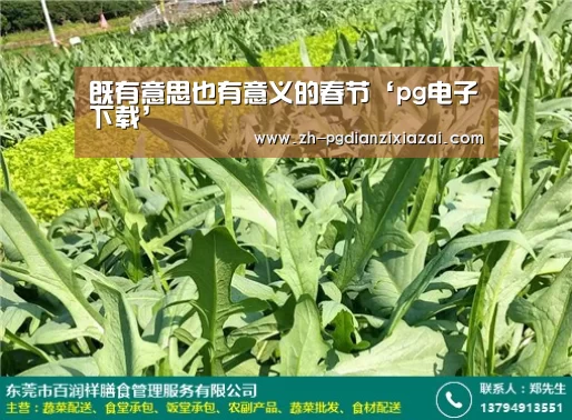 既有意思也有意义的春节‘pg电子下载’(图3) pg电子下载