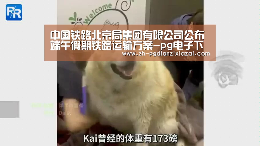 中国铁路北京局集团有限公司公布端午假期铁路运输方案-pg电子下载(图2) pg电子下载