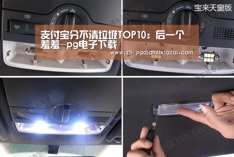 支付宝分不清垃圾TOP10:后一个羞羞-pg电子下载(图4) pg电子下载