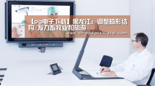pg电子下载
