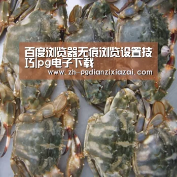 pg电子下载