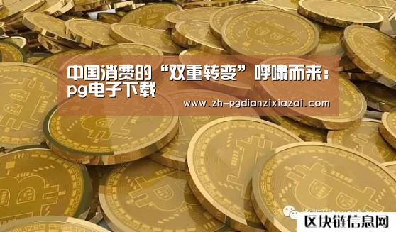中国消费的“双重转变”呼啸而来:pg电子下载(图3) pg电子下载