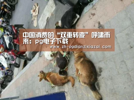 中国消费的“双重转变”呼啸而来:pg电子下载(图4) pg电子下载