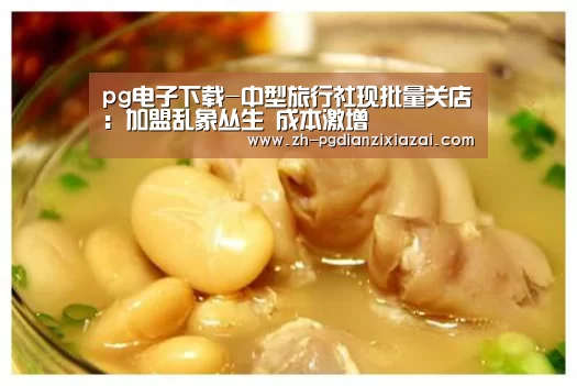 pg电子下载