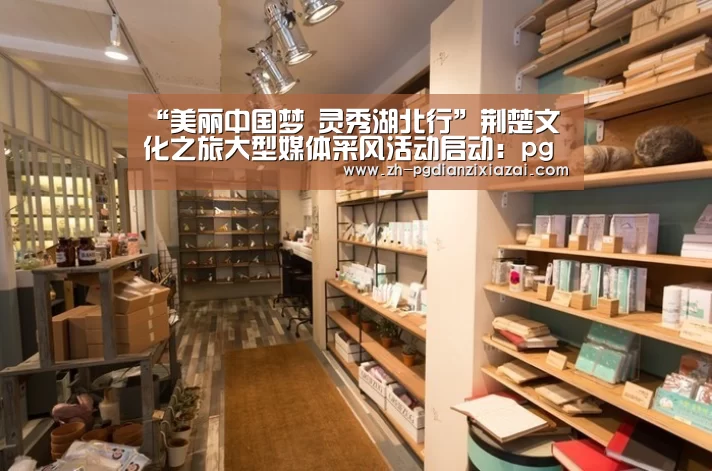 pg电子下载