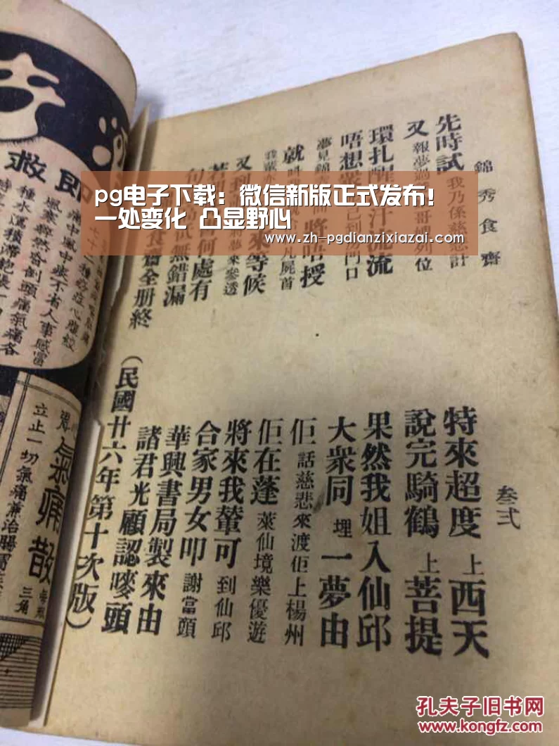 pg电子下载