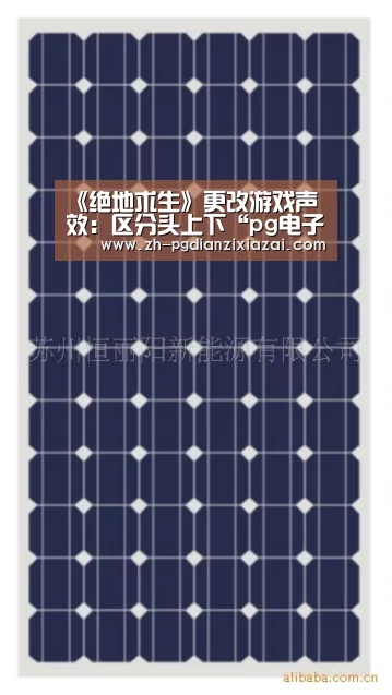 pg电子下载